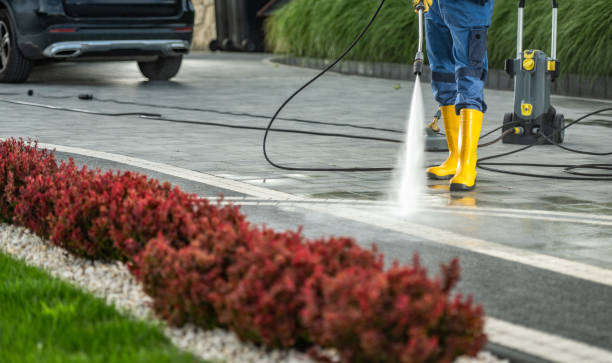 Best Fence Pressure Washing  in Black Rock, NM