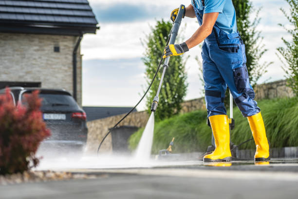 Best House Pressure Washing  in Black Rock, NM