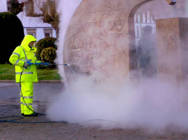 Best Power Washing Near Me  in Black Rock, NM